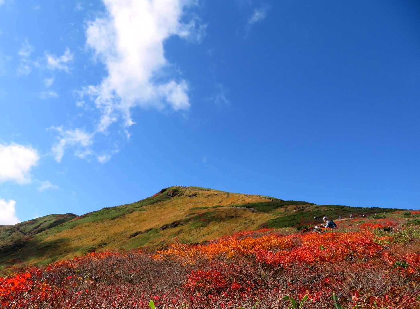 栗駒山を振り返ります