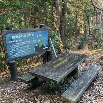 長い階段を登ると休憩スペース😭