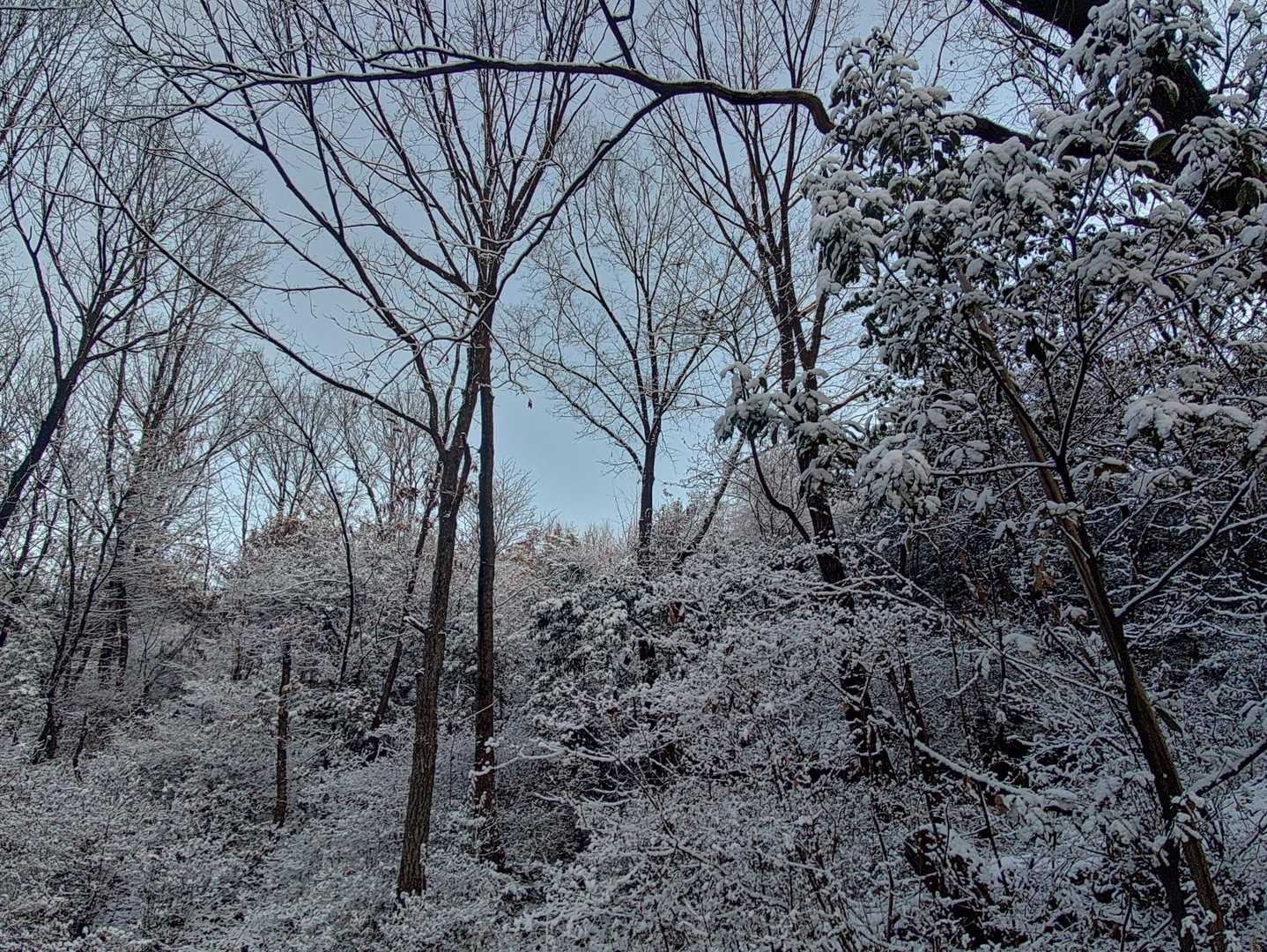 三井山-ふれあいの丘 往復コースの写真