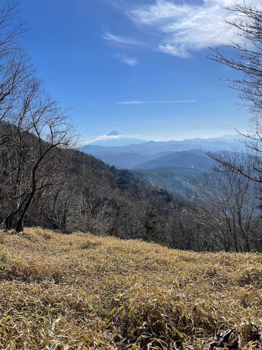 上に上がると、ここだけ木が邪魔していないので、富士山🗻が見えた。眺望がなかった場合を想定して、登りの時に目星をつけておいたら、ビンゴでした！ここ、いいね。