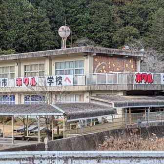 ホタル学校まで降りてきた