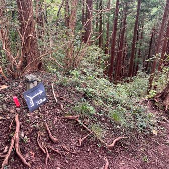 こちらの標識も小さいね