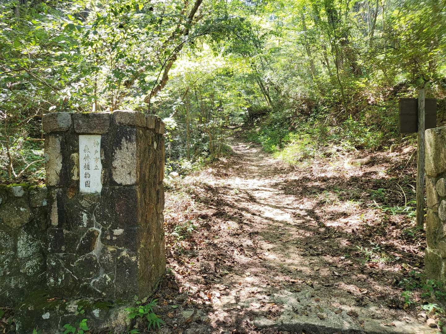 ここから入園料300円発生