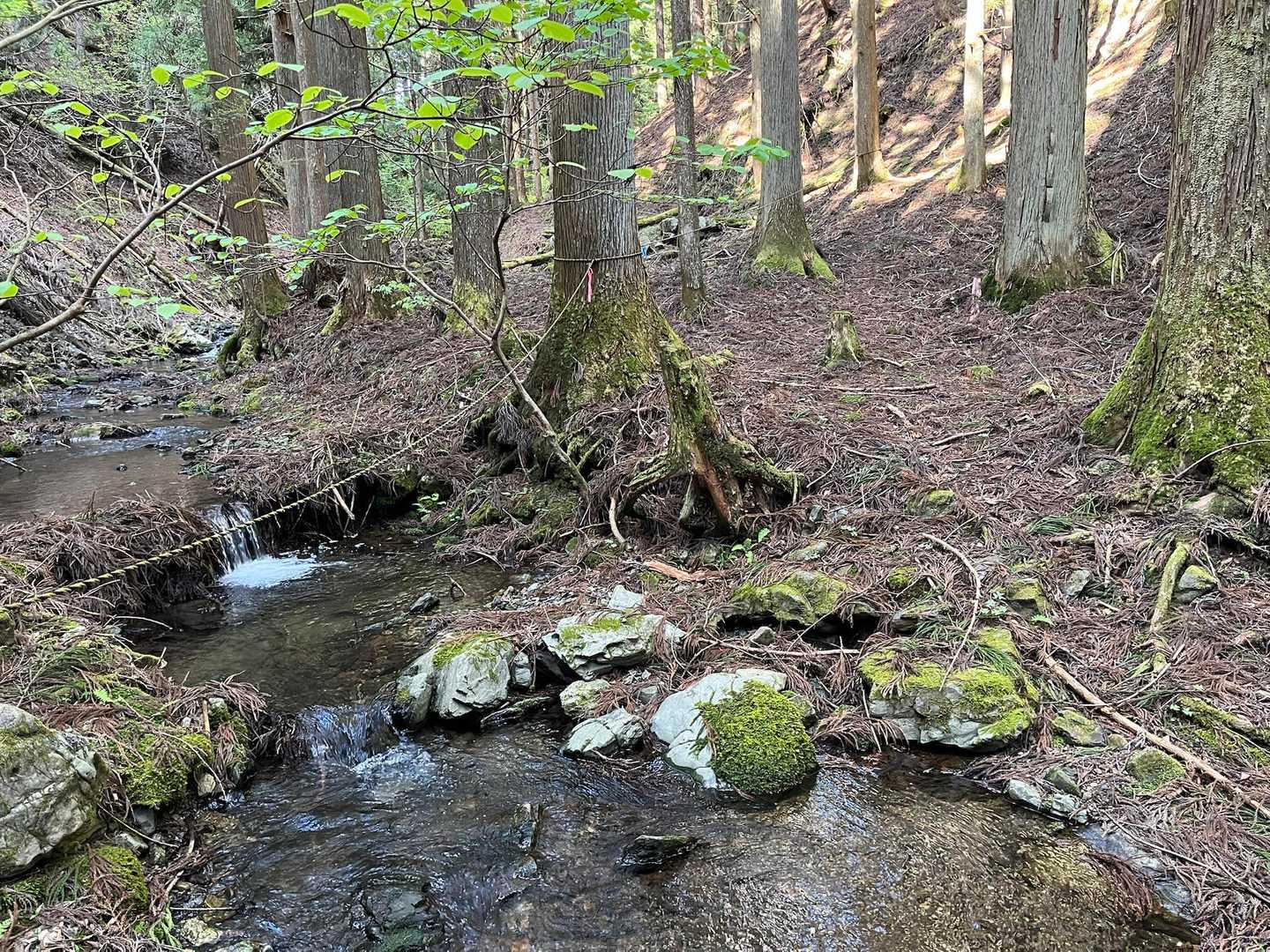 ロープありの渡渉もあります