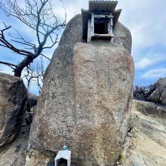 三頂山山頂🚩

三頂山も山頂まで特に
危ない所は無く　問題なく
山頂まで行けました。
