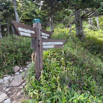 登り切ったーーー！！！
思ったより登り切るの早くて助かったがキツイもんはキツイ！！