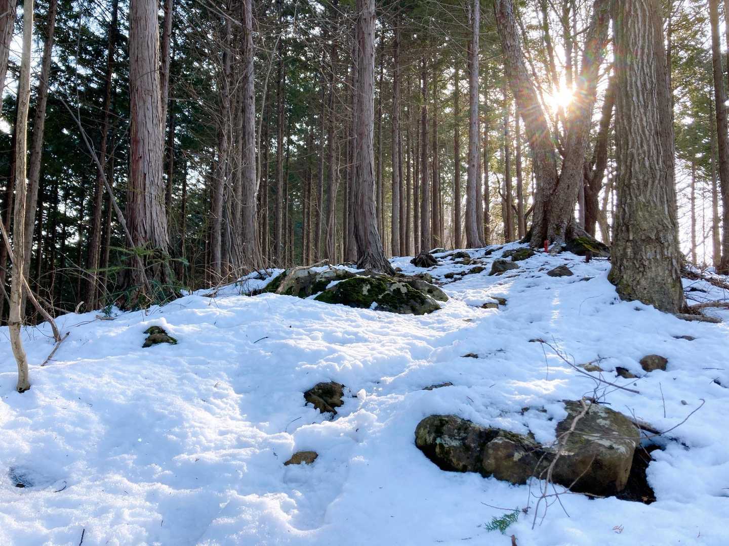 石老山 往復コースの写真