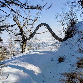 三の森の拗ねている木

ピッケル➡ストックにスイッチ
スノーシューは背負ってアイゼンのまま下ります