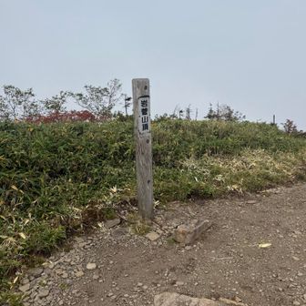 登頂記念だけ📸