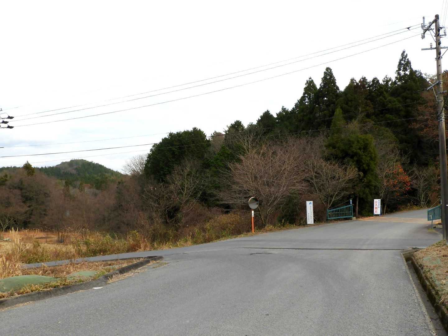 左に曲がります😃