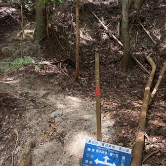 分岐まで降りて来ました
