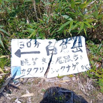 白倉岳はまた今度ね💦