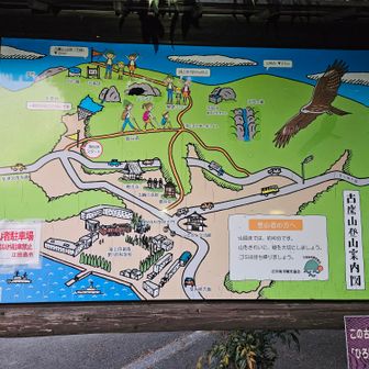 (・_・D フムフム