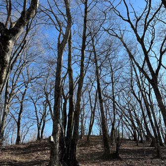 山頂らしき雰囲気🥹