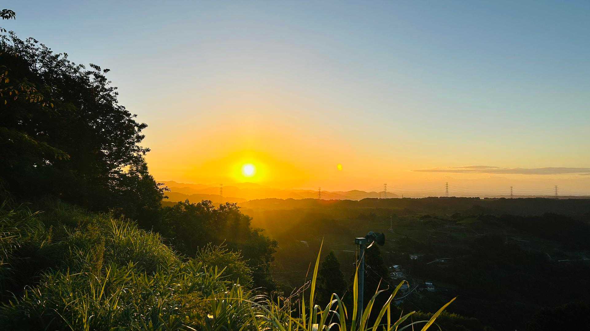 山の日≫おはようございます🌅
茶畑から朝日を浴びる🌱

気温21.2℃ 湿度65%