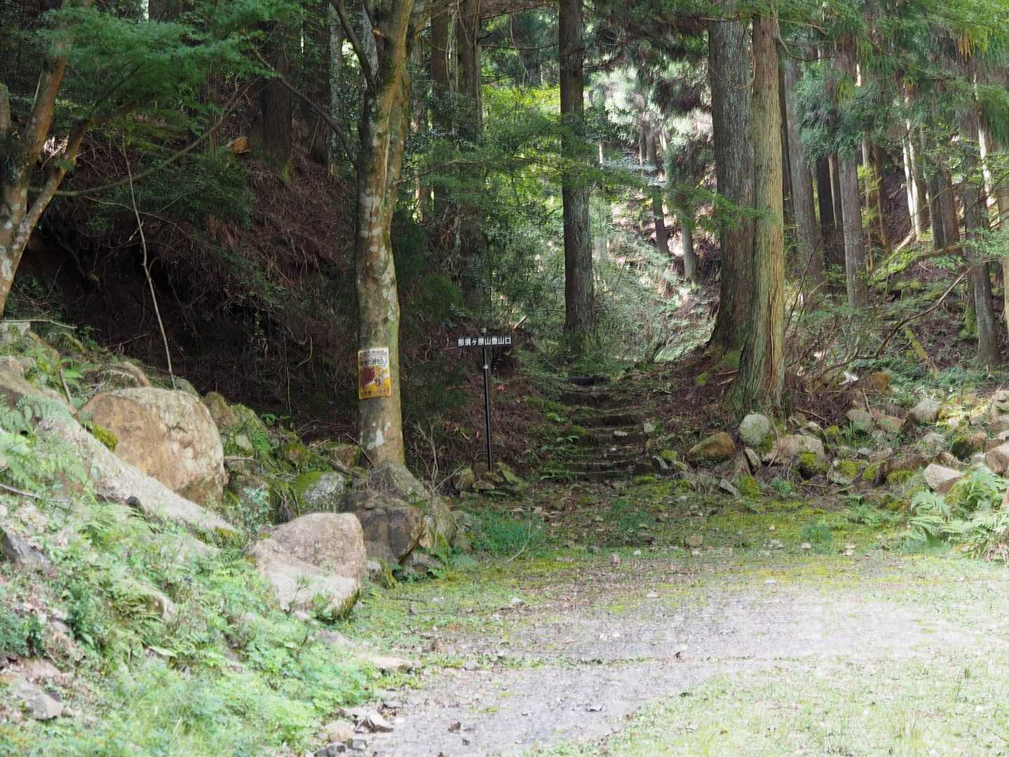 林道終点が登山口だった。