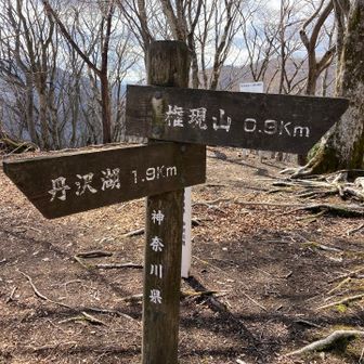 たぶん小ピーク