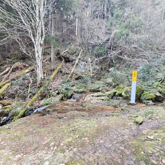 前回はここで撤退したんだよなぁ。