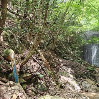 白石滝から取りつきの堰堤まではデンジャラスゾーンなしで楽々出てこれました🌿😚🌿
ここ出てから、紅葉谷降りてすぐに追い越させてもらったハイカーさんを再度追い越させてもらい、
ハイカーさん、ん??って多分思ったかも🤭