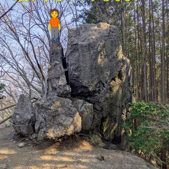 デカさが伝わりにくいので、今回も相棒に登場してもらいました。こんな感じかな？