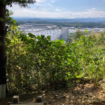 富士山は見えなかったです