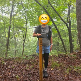 分岐分からず戻って権現山