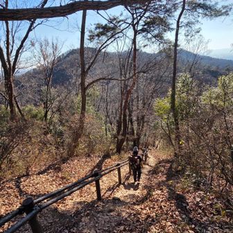 ここの手すりZONE長いんだわ