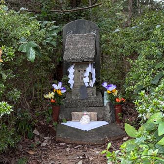 航空神社🙏