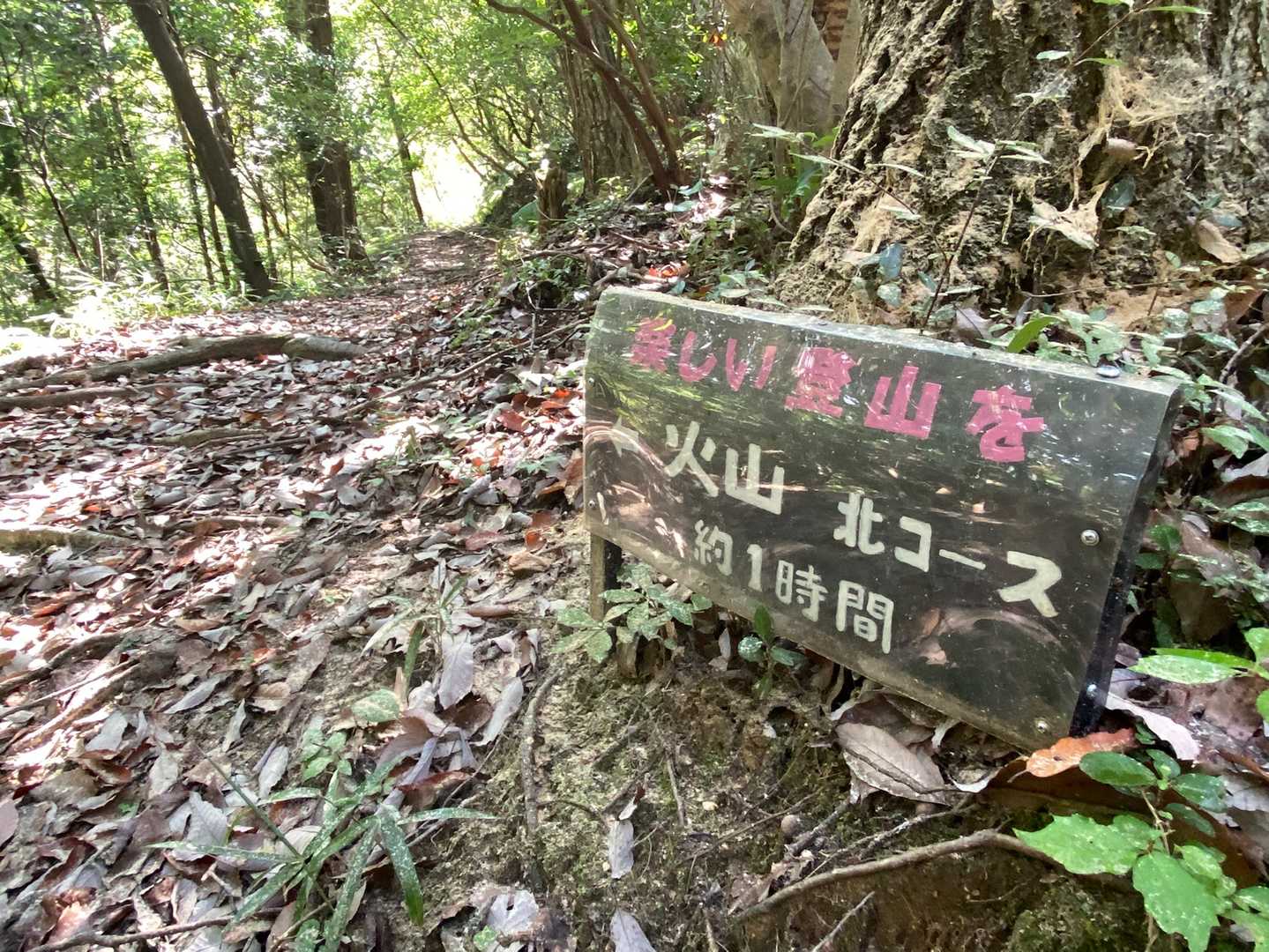 北登山道を歩きます。