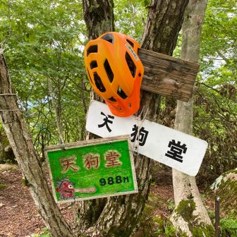 鈴鹿10座完登！