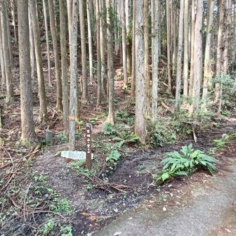 登山口です。