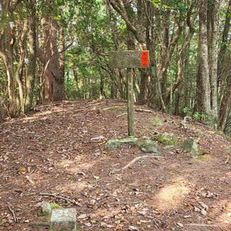 眺望は無いが、落ち着く山頂。
道はまだ先に続いている様子。