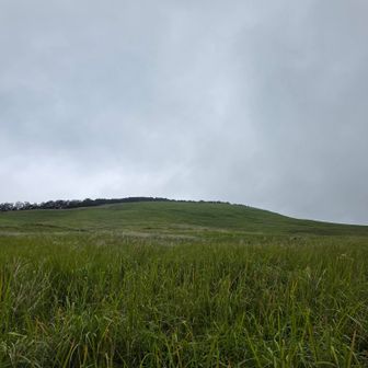 低山だけど、なかなか鍛えてくれる🏔️