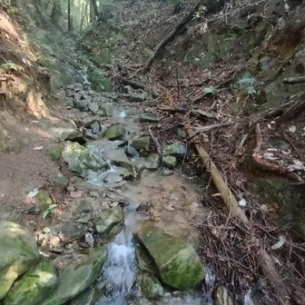 お菊への登山口
朝に比べて水量激減
