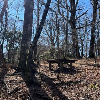 瀬戸沢ノ頭ピーク。ベンチ有り