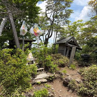 大日如来様もいらっしゃる
