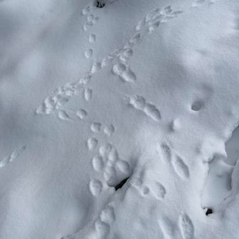 どうしたどうした🤣