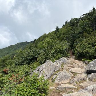 道中の景色