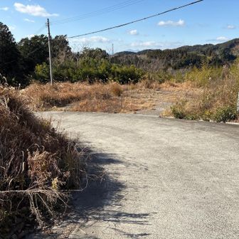 あの先が登山口っぽい