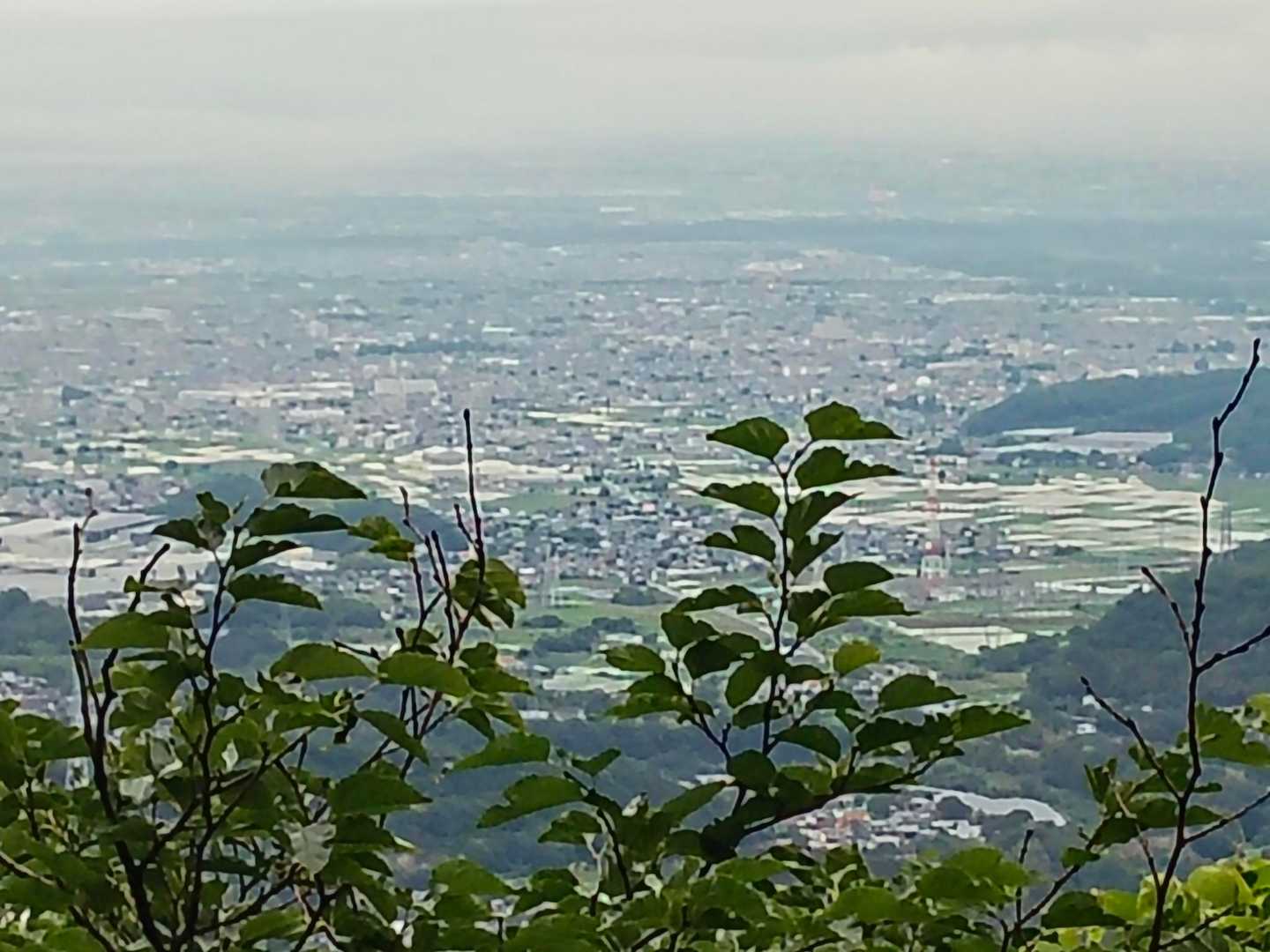 子王山 往復コースの写真