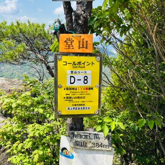 堂山山頂登頂🎶
ピーク1の方👍