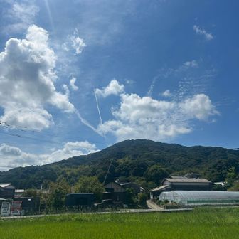 おつかれ山です。