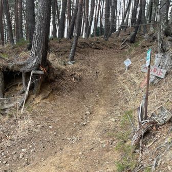 暗かった所まで戻りました。
こんなだったんだねー。