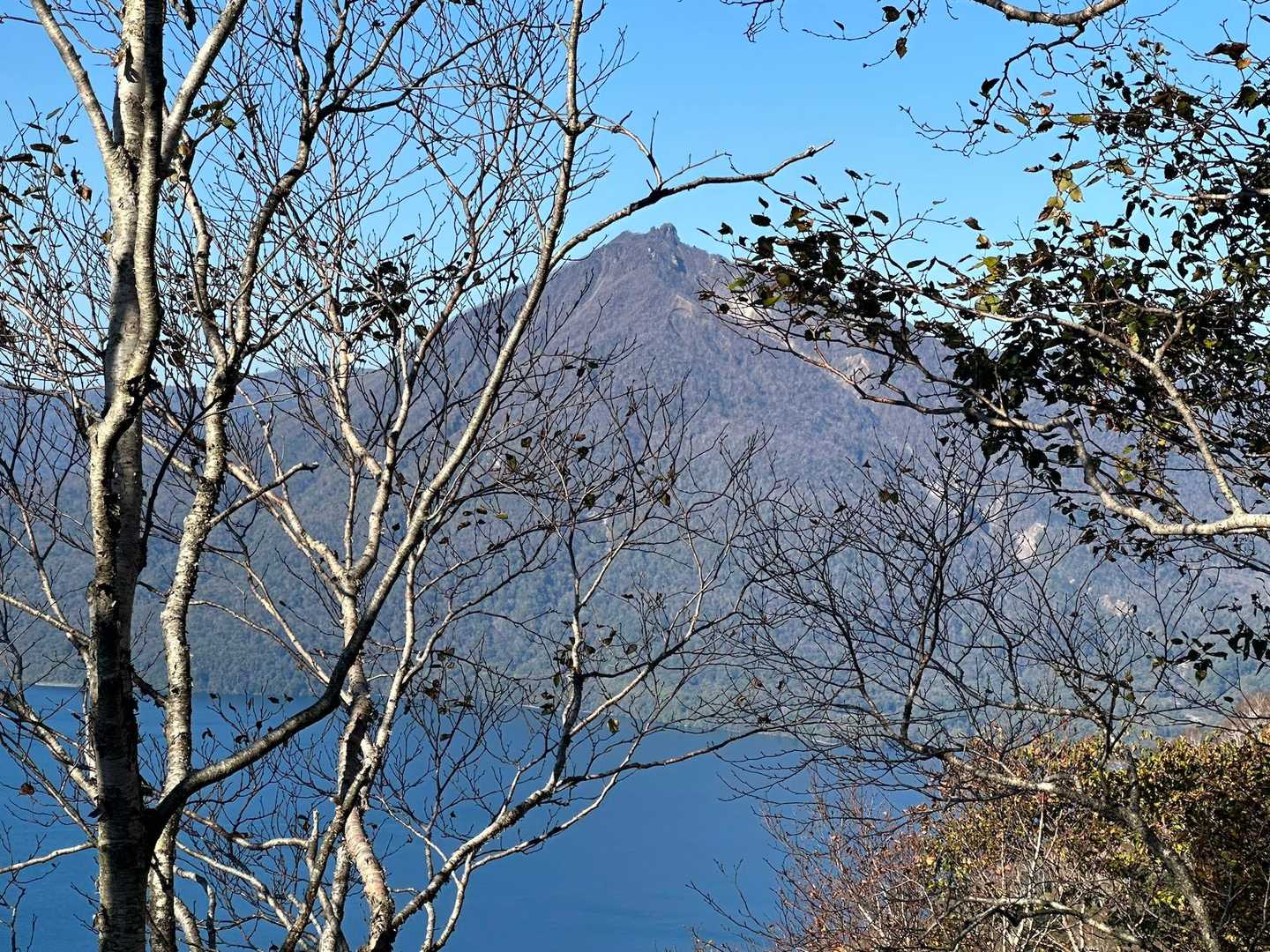 エニーは昨日うめさんが登ったようです