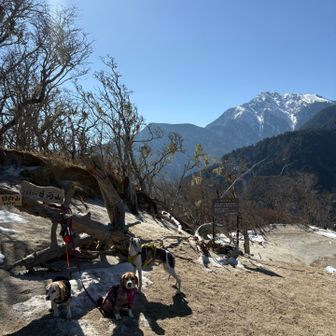 甲斐駒ヶ岳バックにワンちゃん記念撮影