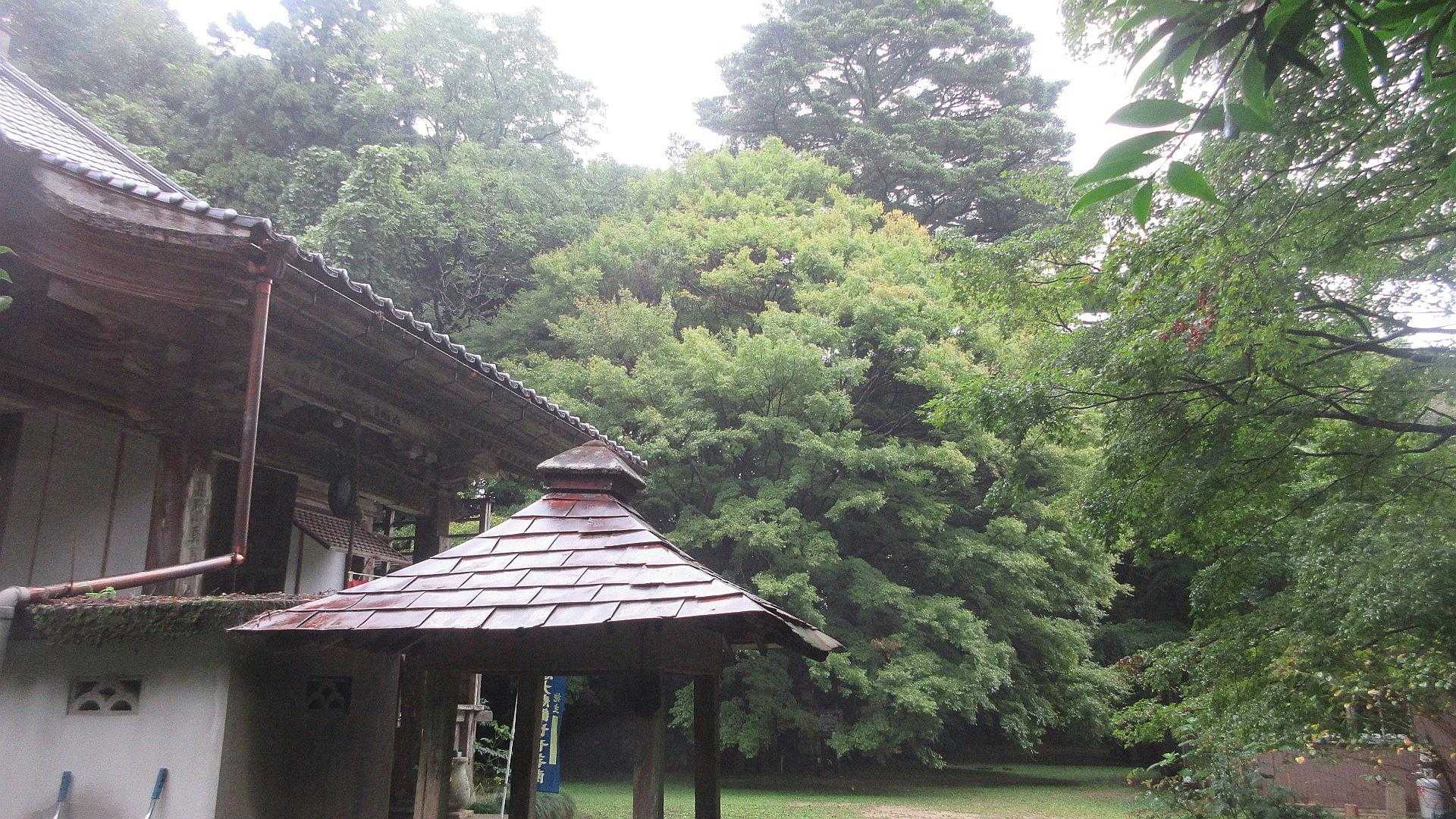 朝日山 周回コースの写真