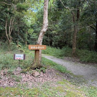 畝傍山登山口
登ります⛰️