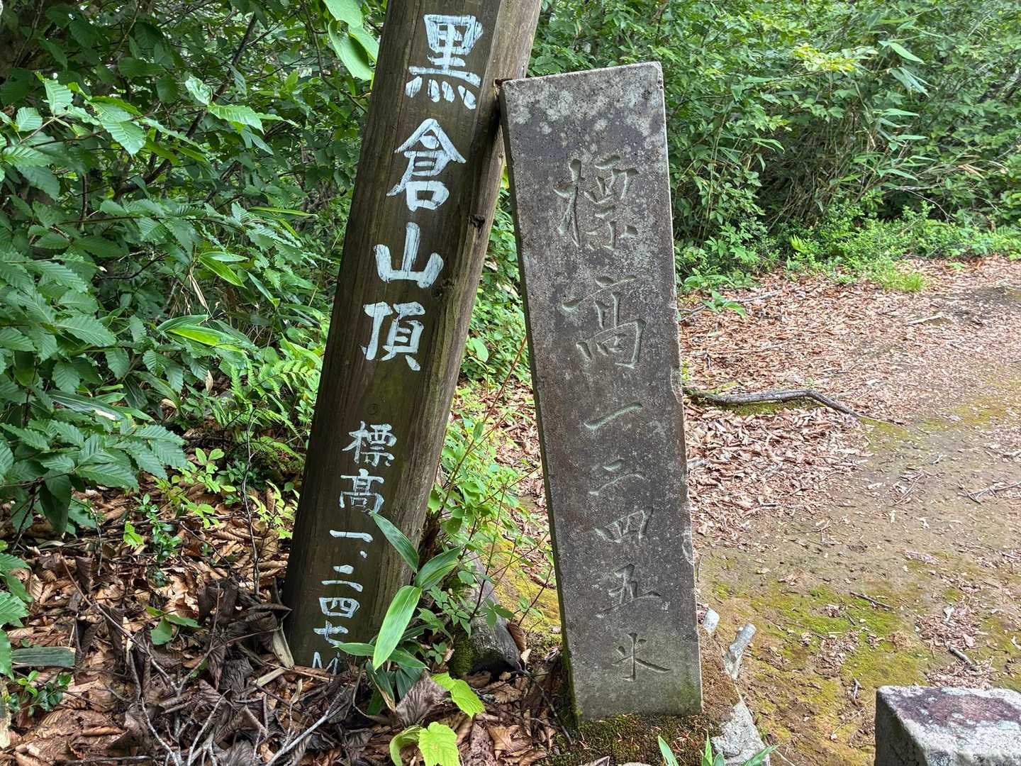 少し古い木の標柱は1247m
古い石柱では1245m
技術が進歩してより正確になっているんだろうけど、誤差数m。アナログだった昔の測量技術もかなり正確だったということかな。
