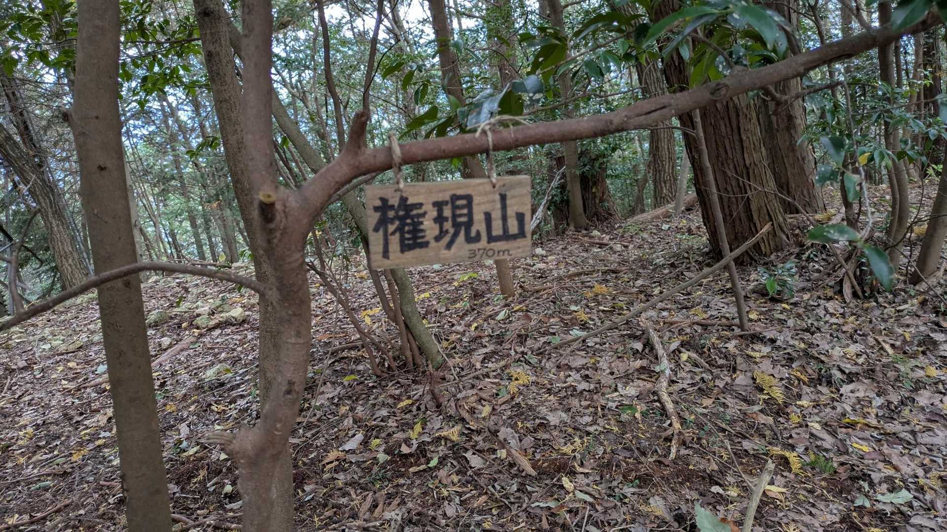 権現山到着　眺望なし笑