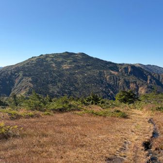 振り返ると立派な三ツ岩岳